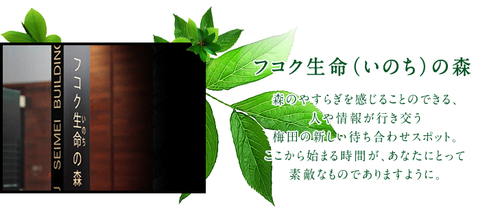 フコクいのちの森