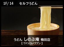 うどん しのぶ庵 梅田店